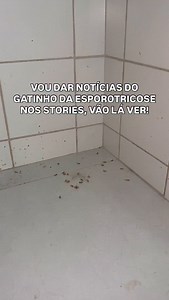 101K views · 1.7K reactions | CORRE PARA OS STORIES 﫷 | Esdras Andrade | Facebook