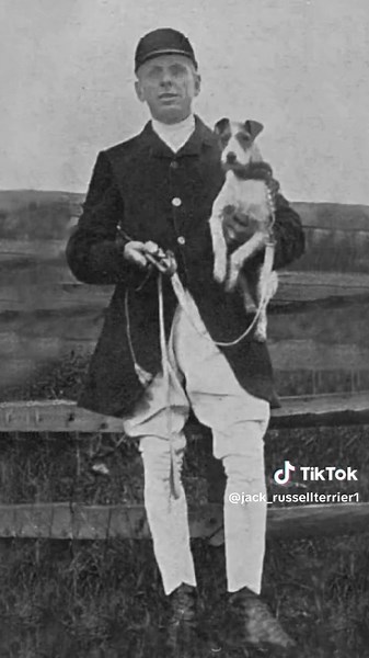 WORKING TERRIER 🇬🇧 #jackrussell #working #unitedkingdom #ireland #scotland