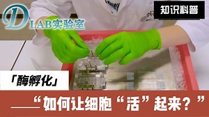 DLAB实验室：酶孵化实验的前沿技术