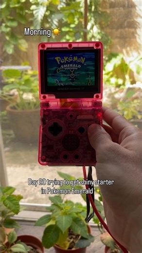 Day 20 trying to get shiny starter in Pokemon Emerald✨ #pokemon #shorts