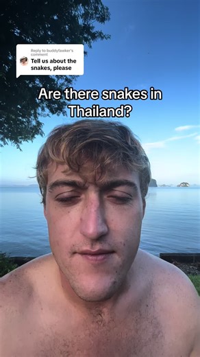 Snakes in Thailand: A Guide to the Diverse Snake Species in the Country