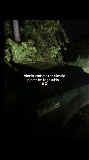 Ruido en Silencio: Momentos de Reflexión