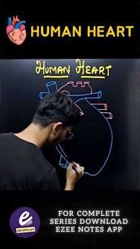 EZEE NOTES 📚 | Learn Human Heart diagram in a easy Way!!!