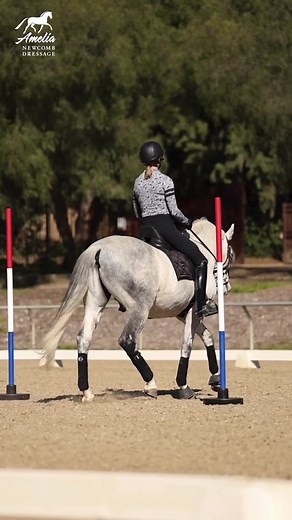 🙋‍♀️ Struggling to sit the trot, but the more you try to sit still, the more you bounce in the saddle? 🤦🏻‍♀️ One common mistake I see riders make when they sit the trot is they try to sit still. 🏇 This usually leads to stiffness, which only causes you to bounce more! The key to sitting the trot well is movement. 💯 Think of your belt buckle and hips following and moving with your horse’s motion. 🦄 Need more help with your sitting trot? 🔥 Check the link in my bio to get my Free PDF with fiv