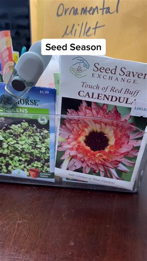 Organizing Your Garden Inventory for Seed Season Tips