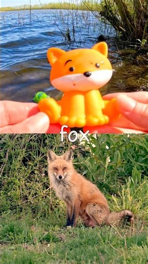 Kids Learn at the Lake | Animal Names: Fox Guitarfish Squirrel Crab Woodlouse