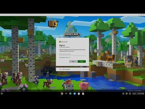 How to install Minecraft on a Chromebook