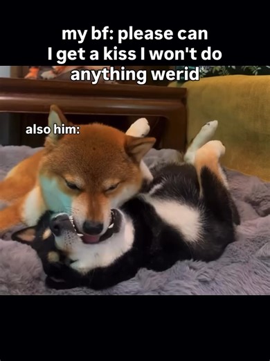 “Send me one of those invisible kisses I can feel anyway.” “Blow me a kiss so I can catch it.” “Your smile is basically a kiss in disguise.” “I’ll take a virtual kiss until I earn the real one.” “Consider this text a kiss emoji with extra sparkle.” “You owe me a kiss tax for being this cute.” #girlfriends #boyfriends #relationships #couples