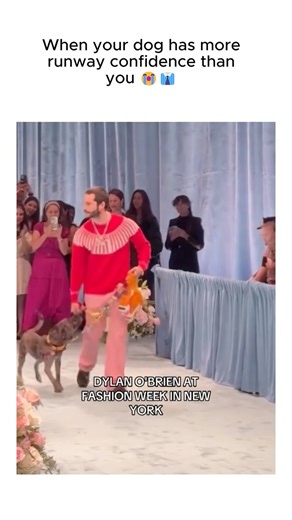 He said emotional support… but make it fashion 🐾