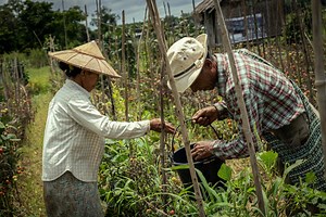 Enabling Community Recovery and Resilience