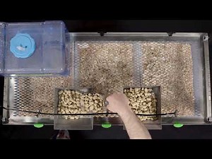Vision Ultra Rodent Breeding Rack - Summary