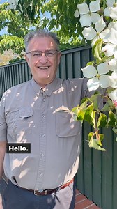 8.5K views · 407 reactions | Wedding Cake Tree - Cornus controversa ‘and Variegata’(versicolour)#plants #trees #gardening #garden | Dave The Plantman | Facebook