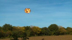 Bow Hunting Pigeons with EXPLOSIVE tips | Safari Firearms DL 405578863