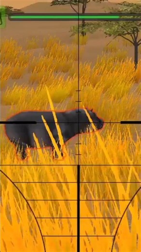 Jungle Animal Hunting 😱 Real Sniper Shot 4K Gameplay