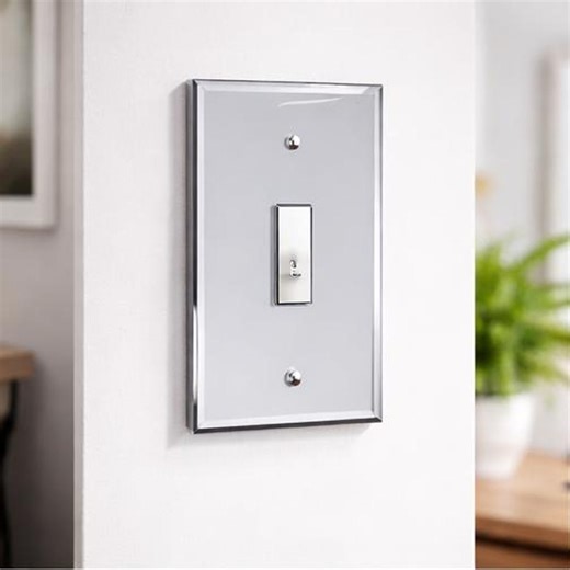 Oversized Acrylic Mirror Switch Plate Cover – Decorative Wall Plate (1 Gang) - Etsy