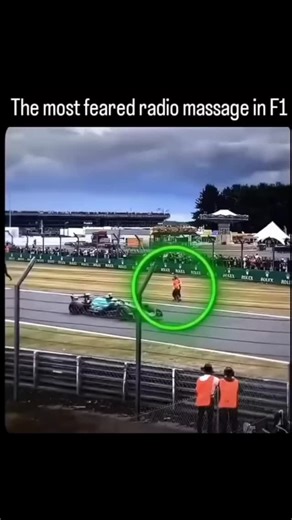 Facts on Instagram: "fact.mints.io A group of Just Stop Oil protesters who stormed the Silverstone F1 track during last year's British Grand Prix have now been sentenced for causing a public nuisance. The dramatic track invasion sparked global headlines now, justice has crossed the finish line. This post is for educational purposes only. DM for credit/removal. #F1 #Silverstone #JustStopOil #Protest #TrackInvasion British GP Formula1 PublicNuisance MotorsportNews Racing F1News Headline News Justi