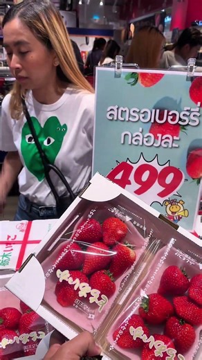 It's the end of Microsoft Office. 🤣🤣🤣