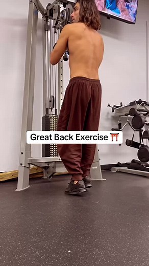 Effective Back Exercise Techniques for Bio-Hacking