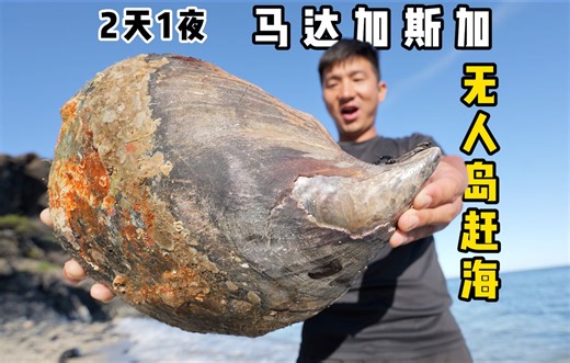 《马达加斯加》第5集：2天1夜无人岛赶海，水下使用特殊技能，果然鱼获满满