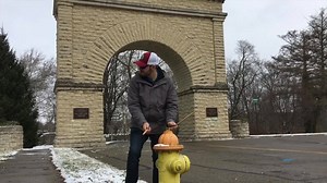 53K views · 560 reactions | Feel The Rhythm! | Springfield USA | Facebook