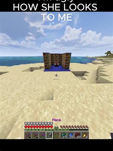 Exploring Minecraft's Most Beautiful Characters