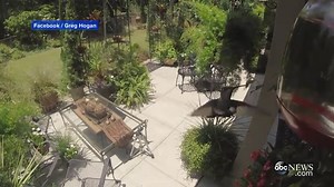 GoPro Captures Hummingbird in Slow Motion