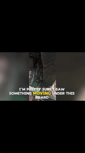 Garden Cooking Travel Music Health & Beauti Tips Group Garden Cooking Travel Music Health & Beauti Tips | Rex Bob