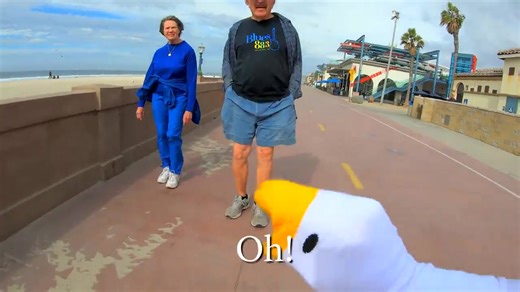 Exploring the Untitled Goose Game Phenomenon