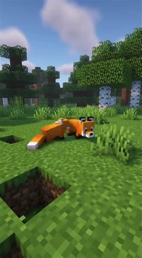 This Fox Is Confused Again😭🦊