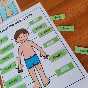 Body Parts Printable Activity, Human Body Busy Book, Body Parts Matching Worksheets, Body Parts Poster, Toddlers Prek Preschool, Homeschool - Etsy