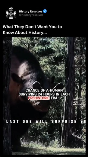 History | Ancient History on Instagram: "The Ice Age, a series of glacial periods spanning roughly from 2.4 million to 11,700 years ago, was a time of extreme cold and dramatic environmental change that tested the resilience of early humans. During these harsh periods, massive ice sheets covered large parts of North America, Europe, and Asia, forcing humans to adapt to shrinking habitable areas and scarce food sources. Survival depended on ingenuity and cooperation: humans developed sophisticate