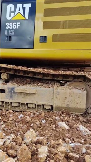 Σφαγιάζουν το ελατόδασος στον Πάρνωνα για τις ανεμογεννήτριες