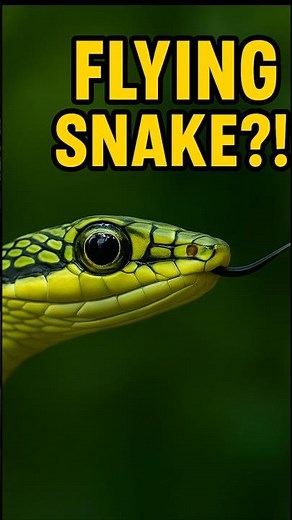 This Snake Can FLY 100 Meters Without Wings! 😱🐍