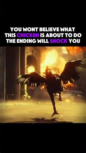 This Chicken Cooked the Whole City!