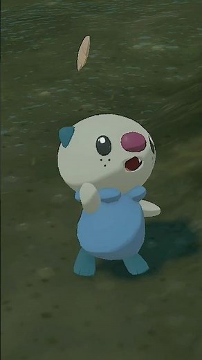 My Shiny Oshawott's Adventure in Legends Arceus 🐾✨ #pokemon #shinypokemon #oshawott #gaming