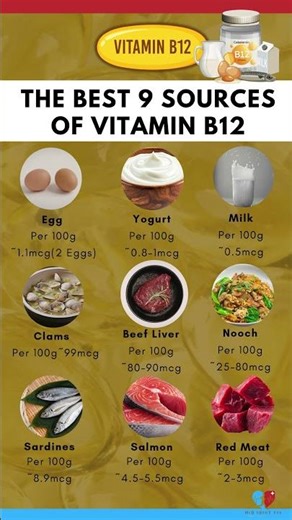 The Best 9 Sources of Vitamin B12
