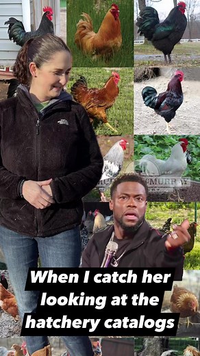 2.5K views · 64 reactions | Every damn spring! | Guardians Farm | Facebook