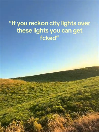 Ryder's Curious Adventure