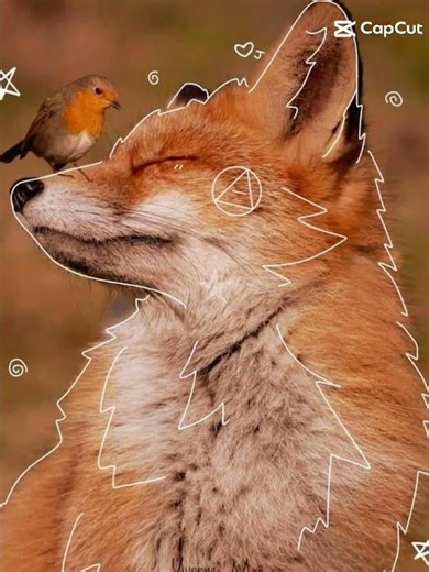 fox! #fox#therian#lesbian