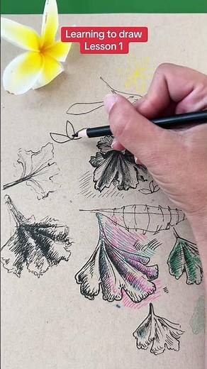 Learning to draw lesson 1. New free drawing course on Youtube. #howtodraw #drawingtutorial