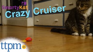 Watch SmartyKat Crazy Cruiser from Worldwise on Amazon Live