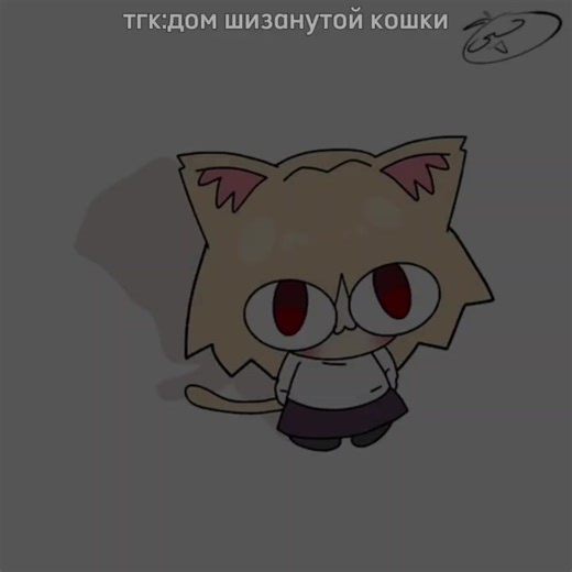 "Мэмчик" тгк:😺Дом шизанутой кошки😺 #necoarc #мем #8марта | cat meme