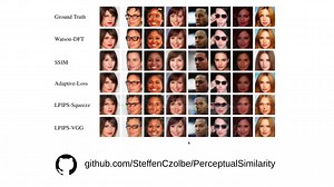 NeurIPS 2020: A Loss Function for Generative Neural Networks Based on Watson's
