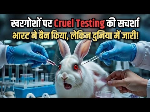 खरगोशों पर क्रूर टेस्टिंग की सच्चाई 😢 | भारत ने बैन किया, लेकिन दुनिया में जारी! 😡 | Draize Test