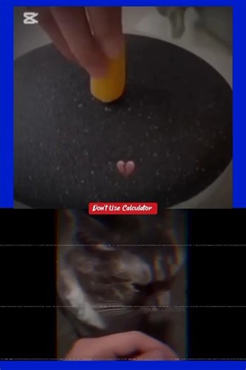 Don't Use Calculator""🚨