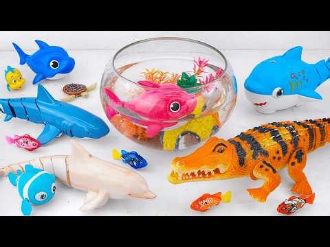[🐋Toy asmr🐋] RC Dolphin & Crocodile & Baby Shark & Turtle & Aquarium ASMR Satisfying with Unboxing