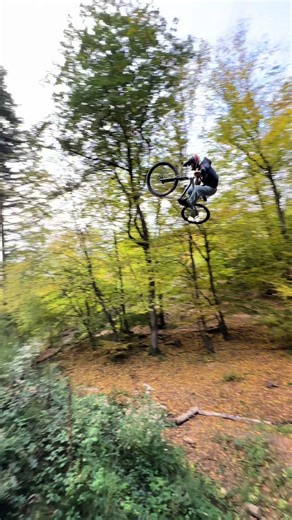 Exciting Summer Line Riding Clips