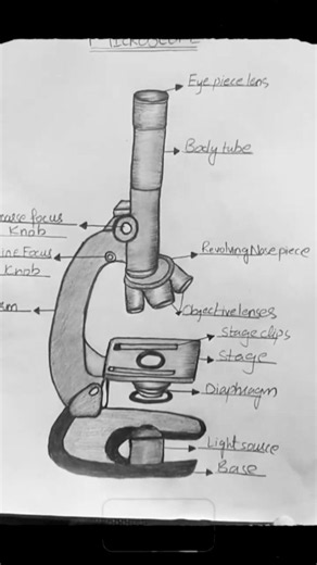 🔬 Learn How to Draw a Microscope Step by Step | Easy Science Drawing for Students ✏️