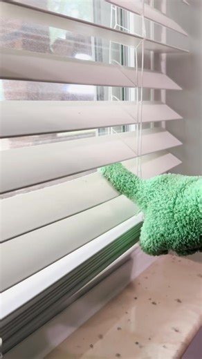 Samantha R Mancuso on Instagram: "How do you clean blinds? I normally close my eyes and pretend I’m blind! 🤣"