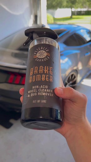 Brake Bomber Bug Removal: Mustang Makeover